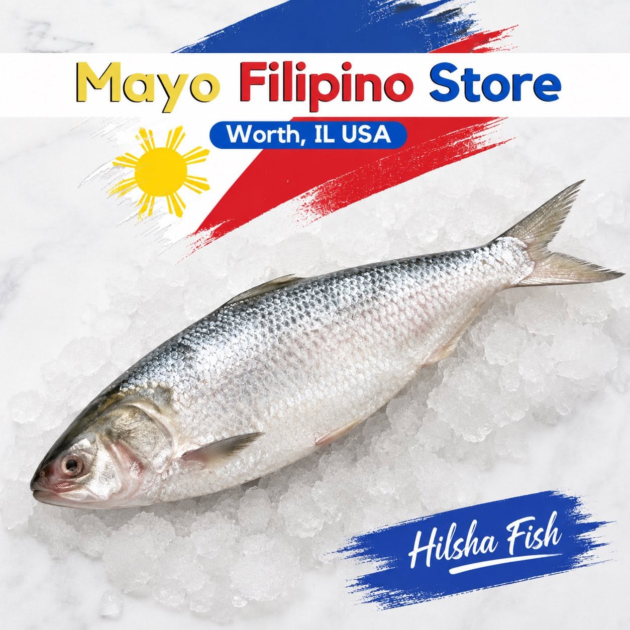 Tamban or Hilsa Fish 2 lbs Hilsha