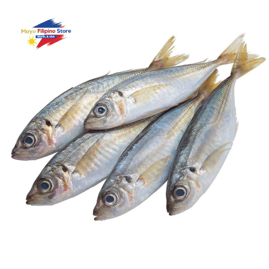 Galunggong BIG (Tropical Sunshine)