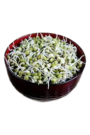 U Koo Mung Bean Sprouts