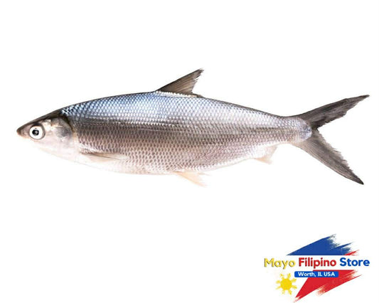 Baby Bangus Whole SMALL