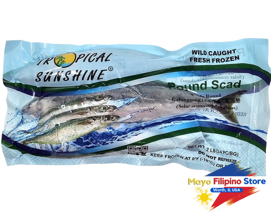 Tropical Sunshine Round Scad Wild Caught Fresh Frozen ig Galunggong